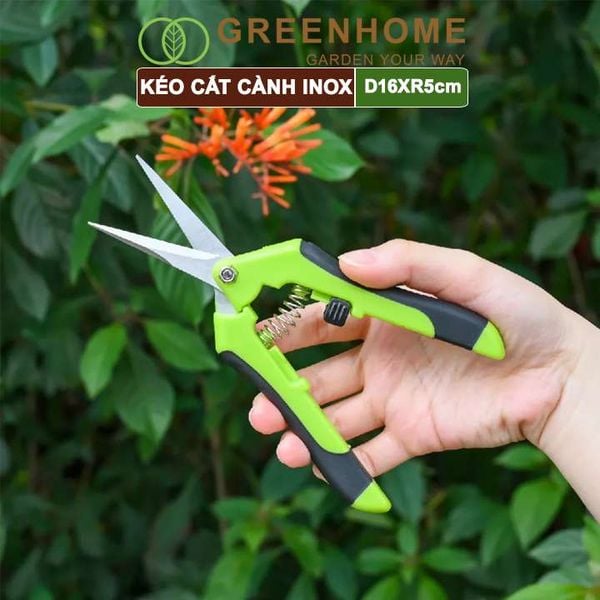 Kéo cắt cành, D15,5xR4,5cm, inox, mũi nhọn, màu đỏ, siêu bén, không gỉ, có khoá an toàn |Greenhome
