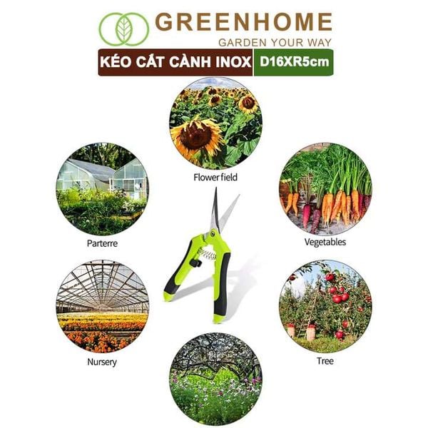 Kéo cắt cành, D15,5xR4,5cm, inox, mũi nhọn, màu đỏ, siêu bén, không gỉ, có khoá an toàn |Greenhome