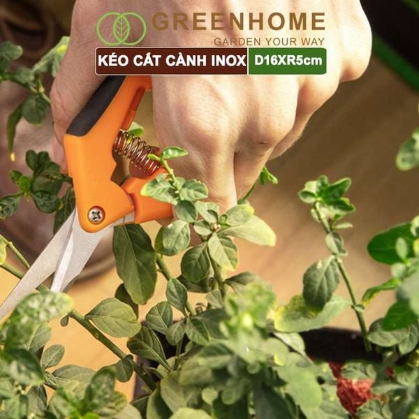 Kéo cắt cành, D15,5xR4,5cm, inox, mũi nhọn, màu đỏ, siêu bén, không gỉ, có khoá an toàn |Greenhome