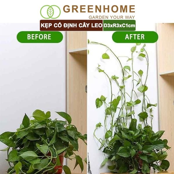 Kẹp cố định cây dây leo Greenhome, D3xR3cm, gắn tường tiện lợi, dễ dàng lắp đặt, tiết kiệm không gian