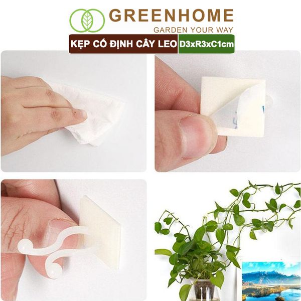 Kẹp cố định cây dây leo Greenhome, D3xR3cm, gắn tường tiện lợi, dễ dàng lắp đặt, tiết kiệm không gian