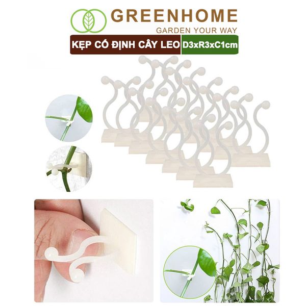 Kẹp cố định cây dây leo Greenhome, D3xR3cm, gắn tường tiện lợi, dễ dàng lắp đặt, tiết kiệm không gian