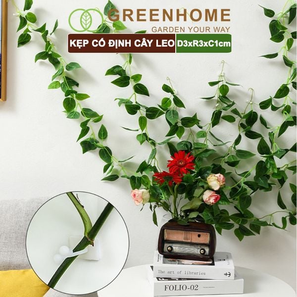 Kẹp cố định cây dây leo Greenhome, D3xR3cm, gắn tường tiện lợi, dễ dàng lắp đặt, tiết kiệm không gian