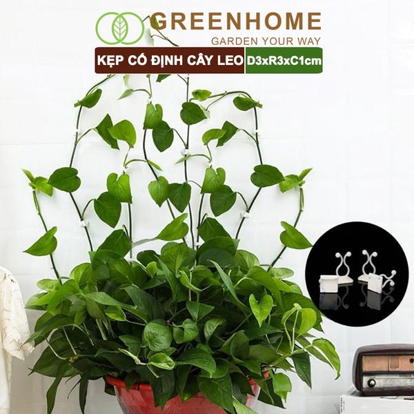 Kẹp cố định cây dây leo Greenhome, D3xR3cm, gắn tường tiện lợi, dễ dàng lắp đặt, tiết kiệm không gian
