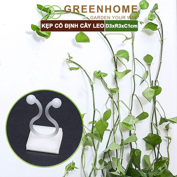 Kẹp cố định cây dây leo Greenhome, D3xR3cm, gắn tường tiện lợi, dễ dàng lắp đặt, tiết kiệm không gian