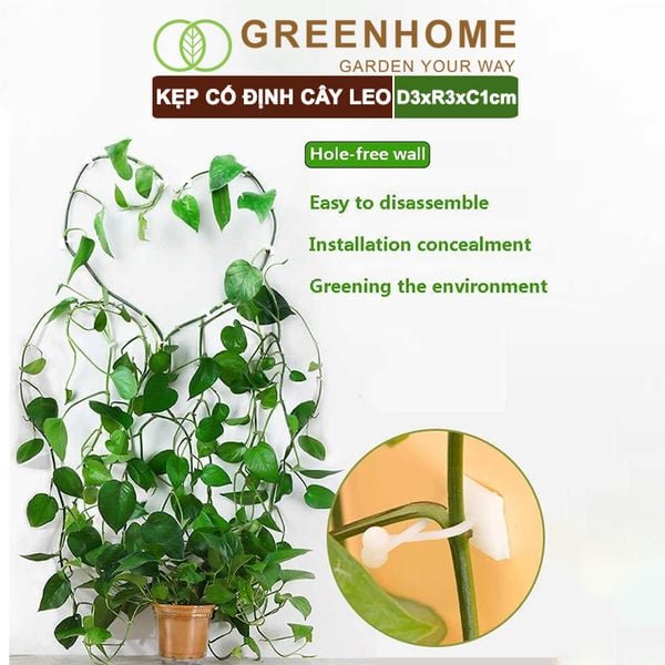 Kẹp cố định cây dây leo Greenhome, D3xR3cm, gắn tường tiện lợi, dễ dàng lắp đặt, tiết kiệm không gian