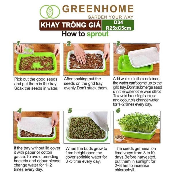 Bộ khay trồng giá, D34xR25xC5cm, nhiều màu sắc, nhựa nguyên sinh, an toàn, dễ trồng tại nhà |Greenhome