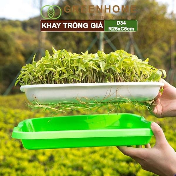 Bộ khay trồng giá, D34xR25xC5cm, nhiều màu sắc, nhựa nguyên sinh, an toàn, dễ trồng tại nhà |Greenhome