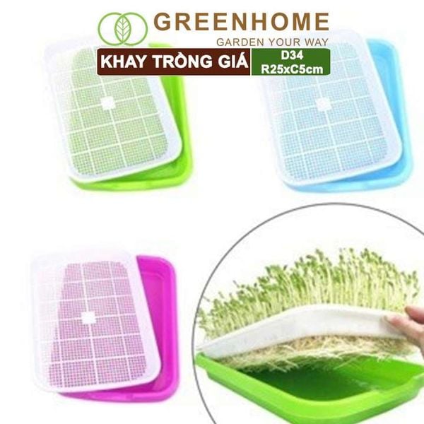 Bộ khay trồng giá, D34xR25xC5cm, nhiều màu sắc, nhựa nguyên sinh, an toàn, dễ trồng tại nhà |Greenhome