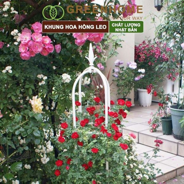 Khung hoa hồng leo, Nhật Bản, Daim, C160xR30cm, hình lồng chim, dễ lắp ráp, độ bền 5 năm ngoài trời |Greenhome