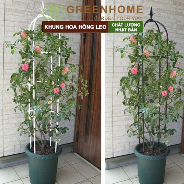 Khung hoa hồng leo, Nhật Bản, Daim, C160xR30cm, hình lồng chim, dễ lắp ráp, độ bền 5 năm ngoài trời |Greenhome