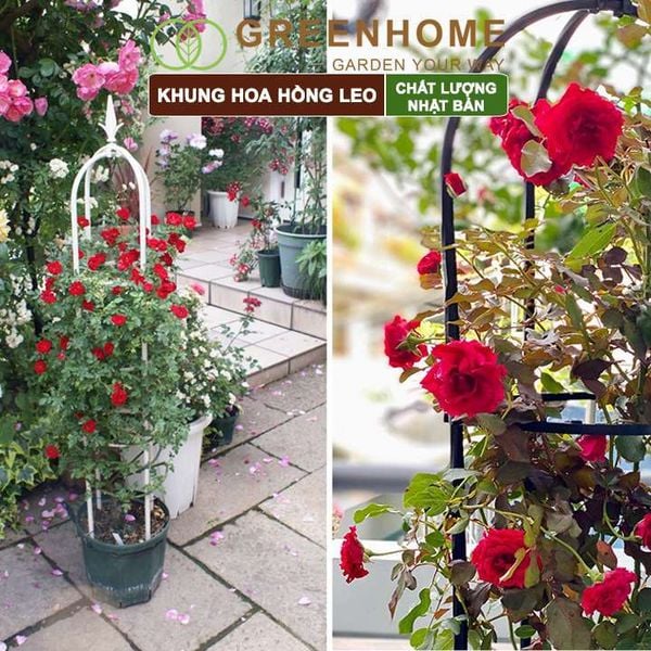Khung hoa hồng leo, Nhật Bản, Daim, C160xR30cm, hình lồng chim, dễ lắp ráp, độ bền 5 năm ngoài trời |Greenhome