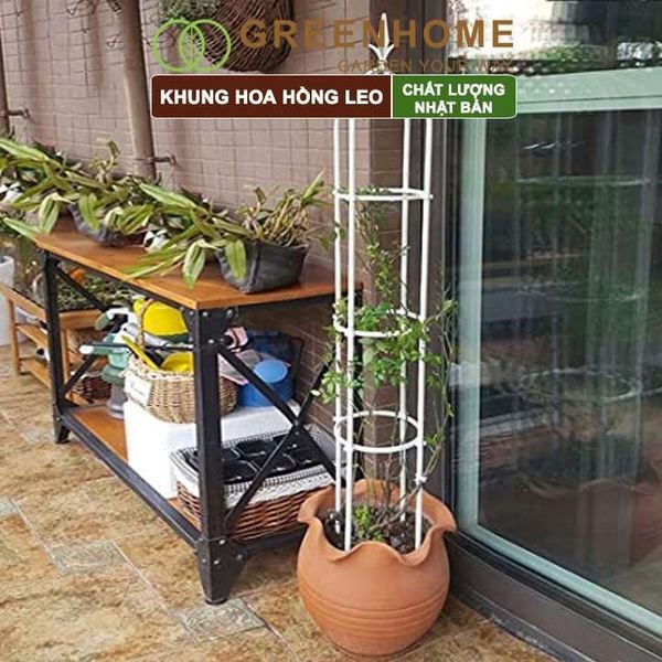 Khung hoa hồng leo, Nhật Bản, Daim, C160xR30cm, hình lồng chim, dễ lắp ráp, độ bền 5 năm ngoài trời |Greenhome