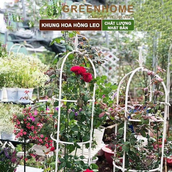 Khung hoa hồng leo, Nhật Bản, Daim, C160xR30cm, hình lồng chim, dễ lắp ráp, độ bền 5 năm ngoài trời |Greenhome