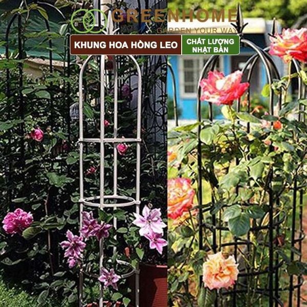 Khung hoa hồng leo, Nhật Bản, Daim, C160xR30cm, hình lồng chim, dễ lắp ráp, độ bền 5 năm ngoài trời |Greenhome