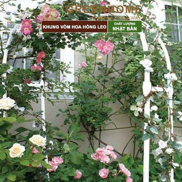 Khung vòm hoa hồng leo, Nhật Bản, Daim, dễ lắp ráp, thẩm mỹ cao, độ bền 5 năm |Greenhome