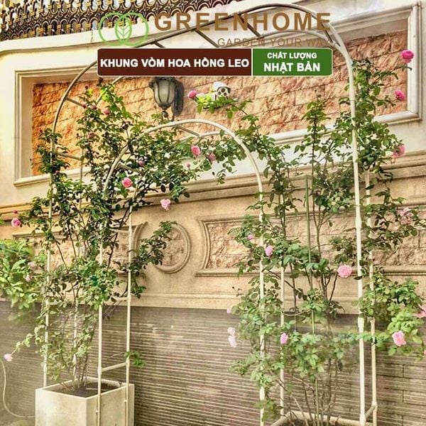 Khung vòm hoa hồng leo, Nhật Bản, Daim, dễ lắp ráp, thẩm mỹ cao, độ bền 5 năm |Greenhome