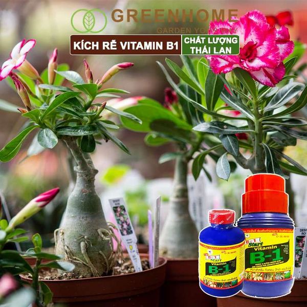 Phân kích rễ Vitamin B1, Thái Lan, tạo mầm, rễ khoẻ, sai hoa |Greenhome