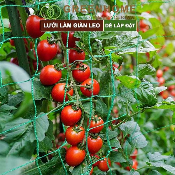 Lưới làm giàn cây leo, độ bền cao, dễ lắp đặt, không viền, làm giàn bầu, mướp, bầu, bí, hoa, nhiều kích thước |Greenhome
