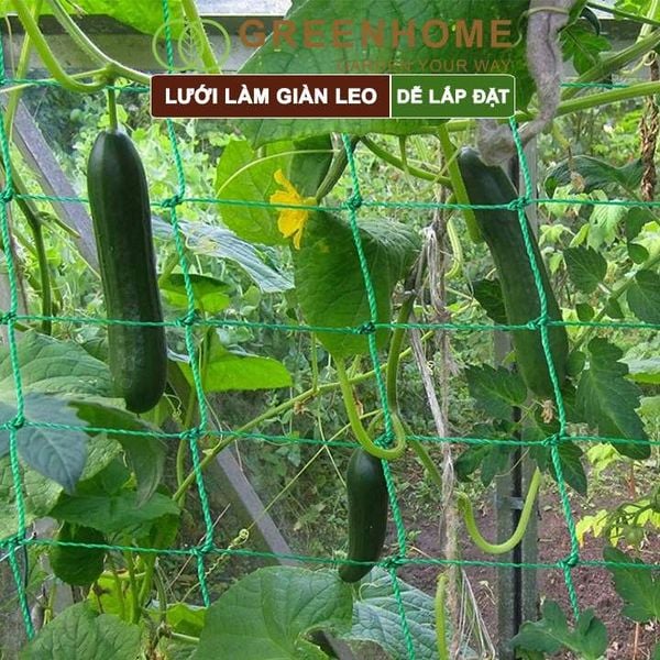 Lưới làm giàn cây leo, độ bền cao, dễ lắp đặt, không viền, làm giàn bầu, mướp, bầu, bí, hoa, nhiều kích thước |Greenhome