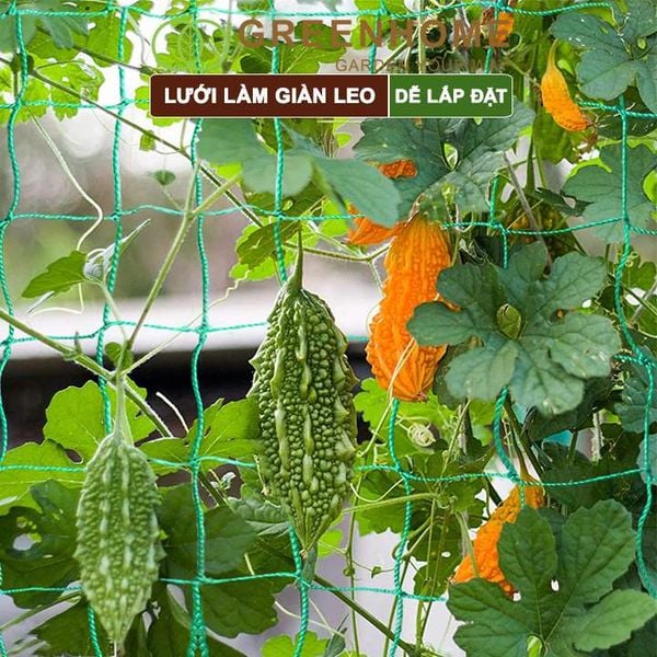 Lưới làm giàn cây leo, độ bền cao, dễ lắp đặt, không viền, làm giàn bầu, mướp, bầu, bí, hoa, nhiều kích thước |Greenhome