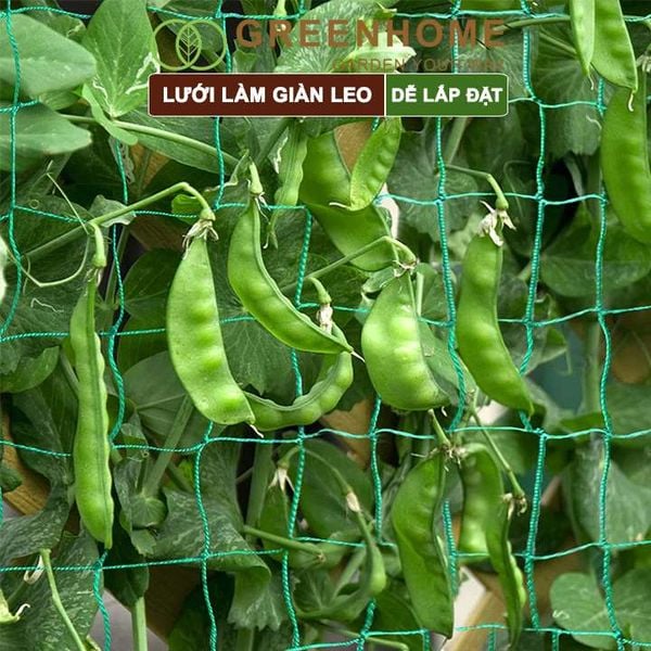 Lưới làm giàn cây leo, độ bền cao, dễ lắp đặt, không viền, làm giàn bầu, mướp, bầu, bí, hoa, nhiều kích thước |Greenhome