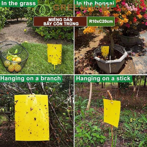 Miếng dán bẫy côn trùng, R10xC20cm, 2 mặt, siêu dính, hiệu quả, tiết kiệm chi phí, thân thiện môi trường |Greenhome