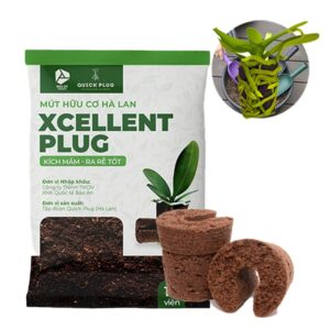 Mút Ươm Kie, 6x6x4cm, Giá Thể Hà Lan, Hữu Cơ, Kích Rễ, Ươm Hạt, Chiết Cành Phong Lan, Trồng Thuỷ Canh
