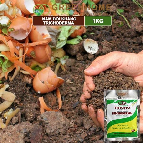 Nấm đối kháng Trichoderma, bao 1kg, phân vi sinh vật ủ phân, ủ rác, đậu tương, tưới gốc |Greenhome
