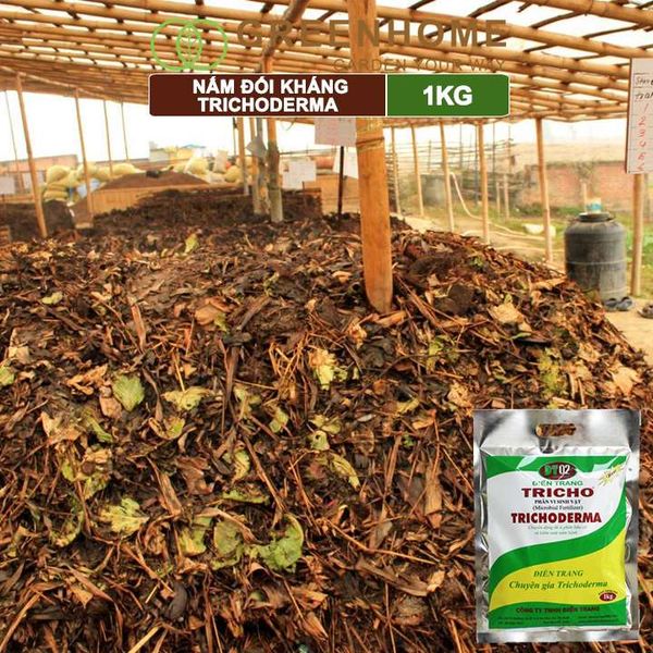 Nấm đối kháng Trichoderma, bao 1kg, phân vi sinh vật ủ phân, ủ rác, đậu tương, tưới gốc |Greenhome