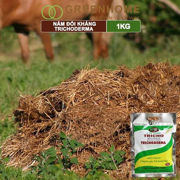 Nấm đối kháng Trichoderma, bao 1kg, phân vi sinh vật ủ phân, ủ rác, đậu tương, tưới gốc |Greenhome