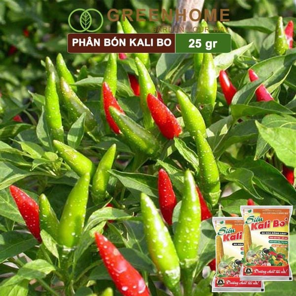Phân bón Kali Bo, gói 25g, kích thích ra hoa, quả to, chắc ruột, tăng độ ngọt | Greenhome