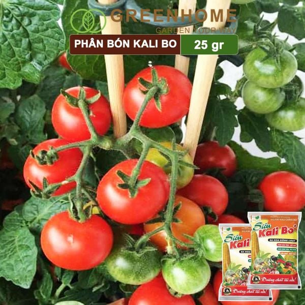 Phân bón Kali Bo, gói 25g, kích thích ra hoa, quả to, chắc ruột, tăng độ ngọt | Greenhome
