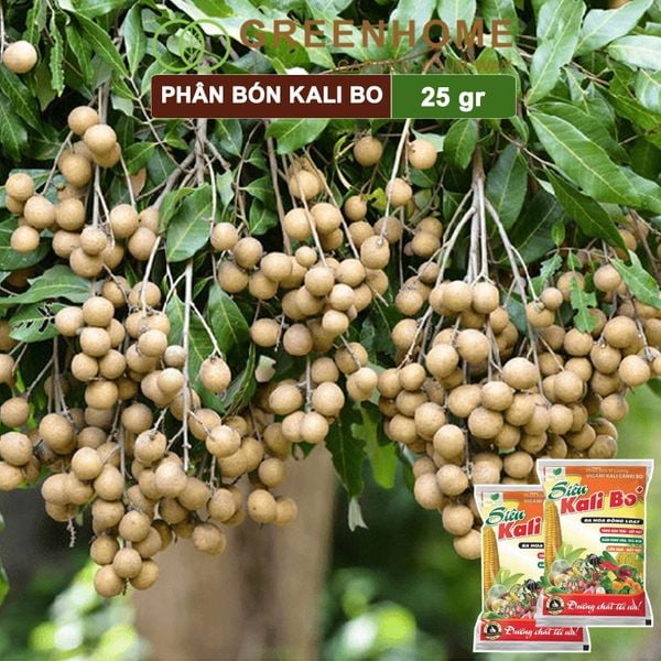 Phân bón Kali Bo, gói 25g, kích thích ra hoa, quả to, chắc ruột, tăng độ ngọt | Greenhome