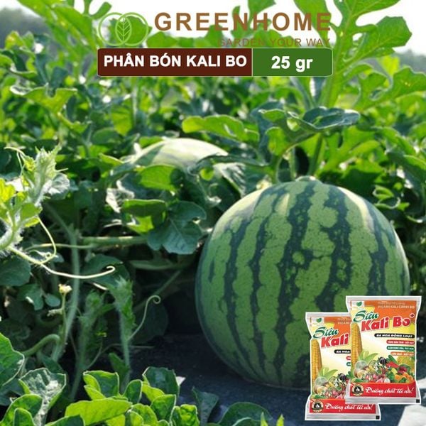 Phân bón Kali Bo, gói 25g, kích thích ra hoa, quả to, chắc ruột, tăng độ ngọt | Greenhome