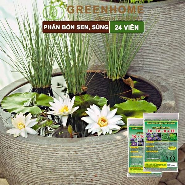 Phân bón hoa Sen, vỉ 24 viên, cây thuỷ sinh, ngập nước, cho hoa to, hoa đậm màu, lâu tàn, tốt lá |Greenhome