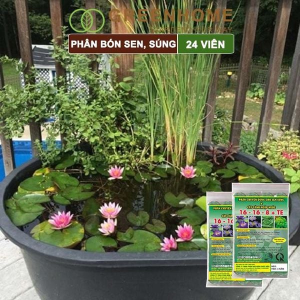 Phân bón hoa Sen, vỉ 24 viên, cây thuỷ sinh, ngập nước, cho hoa to, hoa đậm màu, lâu tàn, tốt lá |Greenhome