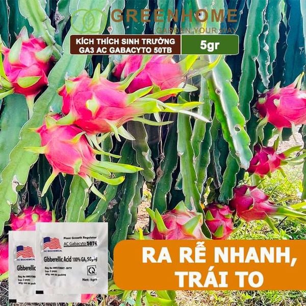 Phân bó lá cao cấp GA3, Gibber 50TB, viên 5gr, dạng sủi, kích thích ra đọt, bông lớn, trái to