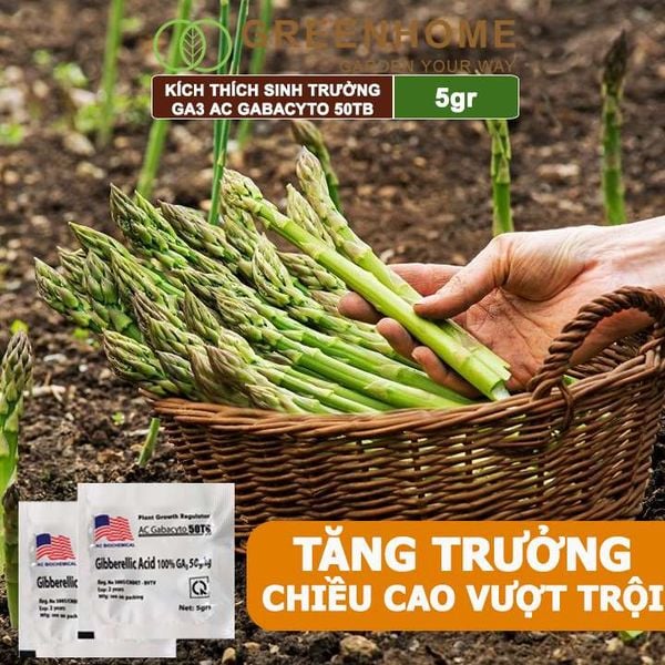Phân bó lá cao cấp GA3, Gibber 50TB, viên 5gr, dạng sủi, kích thích ra đọt, bông lớn, trái to