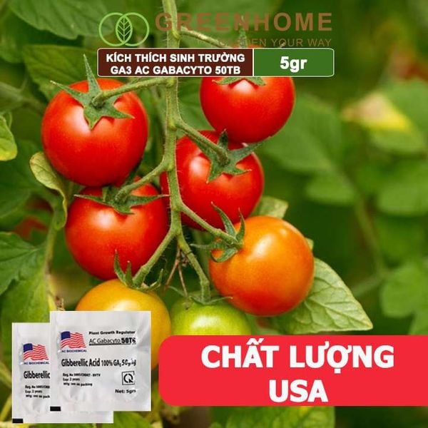 Phân bó lá cao cấp GA3, Gibber 50TB, viên 5gr, dạng sủi, kích thích ra đọt, bông lớn, trái to