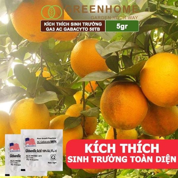 Phân bó lá cao cấp GA3, Gibber 50TB, viên 5gr, dạng sủi, kích thích ra đọt, bông lớn, trái to