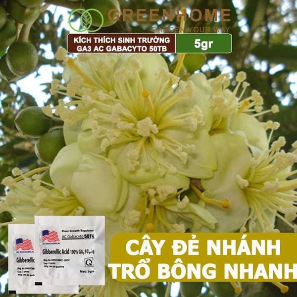 Phân bó lá cao cấp GA3, Gibber 50TB, viên 5gr, dạng sủi, kích thích ra đọt, bông lớn, trái to