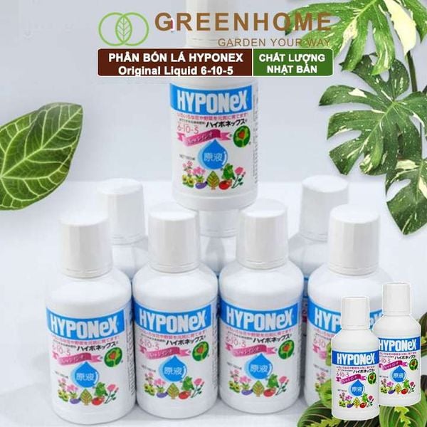 Phân bón lá Nhật, Hyponex, Original Liquid 6-10-5, chai 160ml cho rau, hoa, kiểng lá, kích mầm, chồi |Greenhome