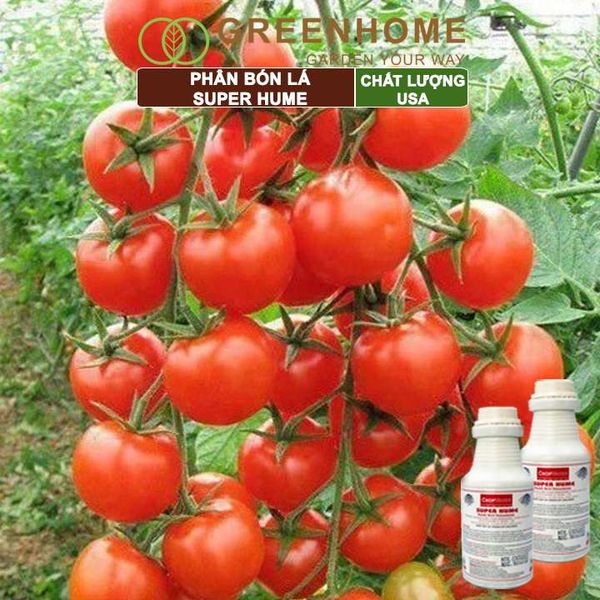 Phân bón lá Super Hume, Crop Master, chai 250ml, cải tạo đất, kích thích rễ, đâm chồi, đẻ nhánh khoẻ| Greenhome
