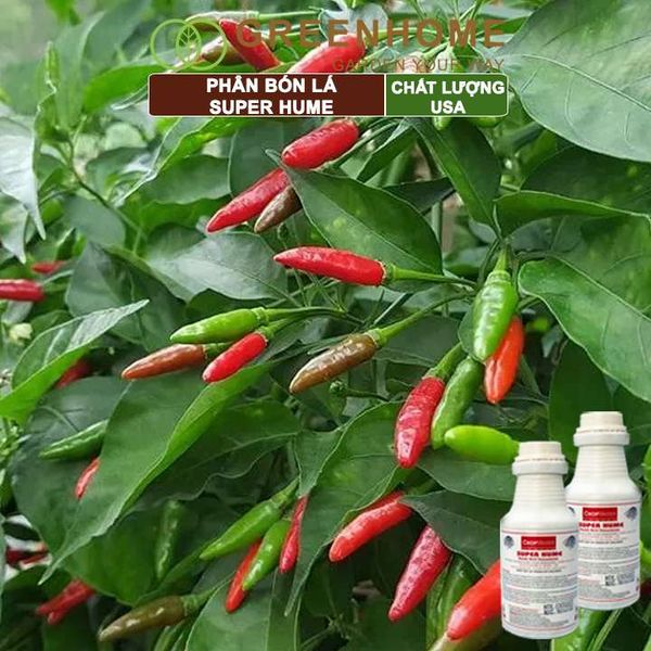 Phân bón lá Super Hume, Crop Master, chai 250ml, cải tạo đất, kích thích rễ, đâm chồi, đẻ nhánh khoẻ| Greenhome
