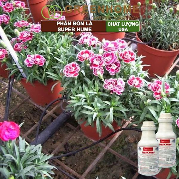 Phân bón lá Super Hume, Crop Master, chai 250ml, cải tạo đất, kích thích rễ, đâm chồi, đẻ nhánh khoẻ| Greenhome