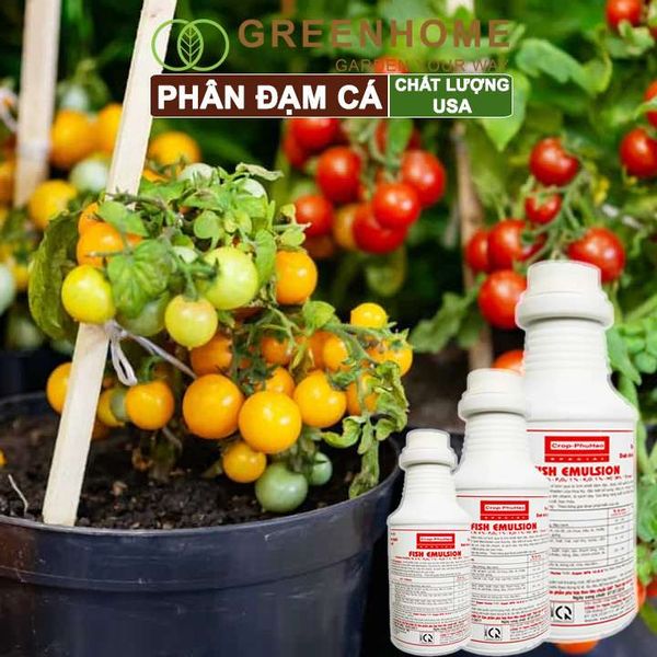 Phân đạm cá Mỹ, Fish Emulsion, đậm đặc, hữu cơ cho hoa hồng, rau sạch, cây cảnh, kiểng lá |Greenhome