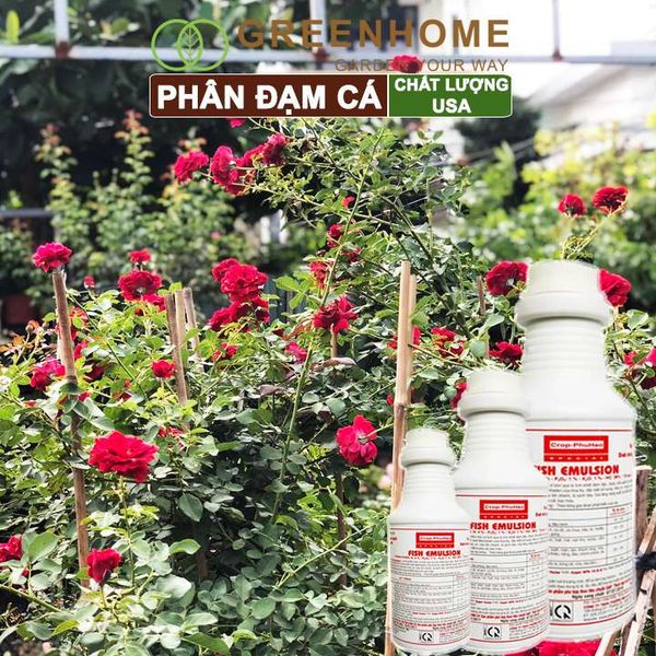 Phân đạm cá Mỹ, Fish Emulsion, đậm đặc, hữu cơ cho hoa hồng, rau sạch, cây cảnh, kiểng lá |Greenhome