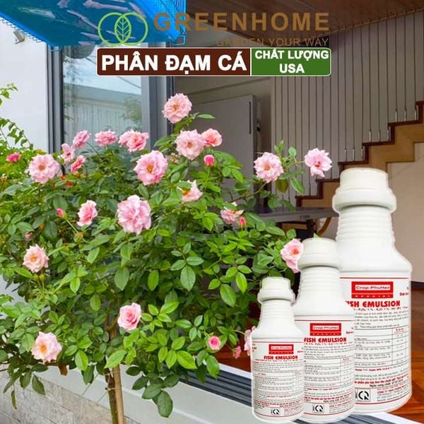 Phân đạm cá Mỹ, Fish Emulsion, đậm đặc, hữu cơ cho hoa hồng, rau sạch, cây cảnh, kiểng lá |Greenhome