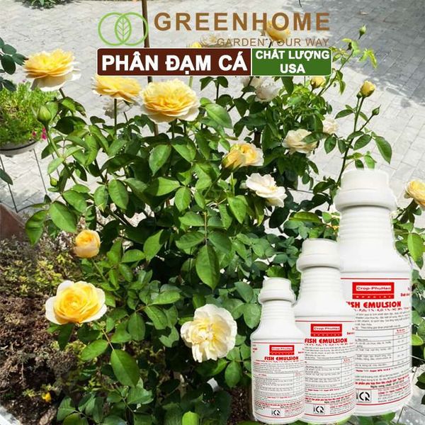 Phân đạm cá Mỹ, Fish Emulsion, đậm đặc, hữu cơ cho hoa hồng, rau sạch, cây cảnh, kiểng lá |Greenhome